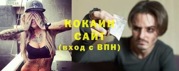 сатива Балахна