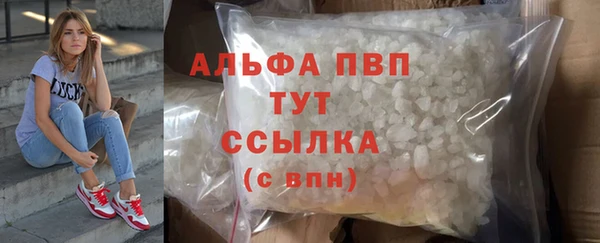 сатива Балахна