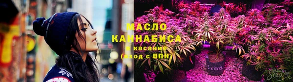 сатива Балахна